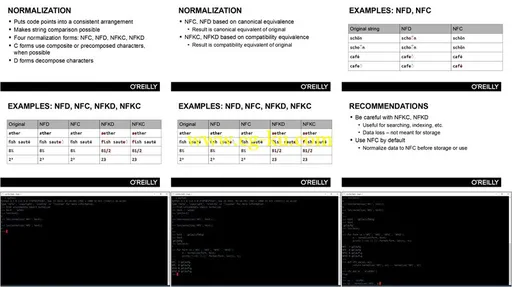 Working with Unicode in Python Training Video的图片1