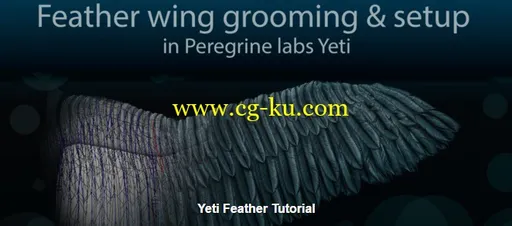 Gumroad – Feather wing grooming and setup in Peregrine labs Yeti的图片1