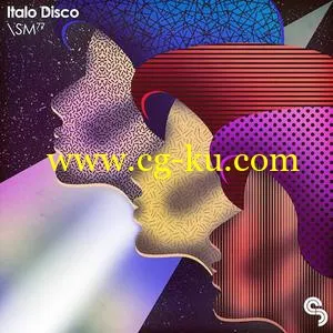 Sample Magic Italo Disco MULTiFORMAT的图片1