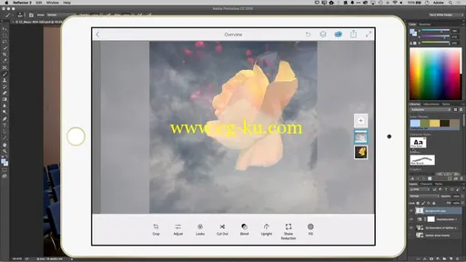 kelbyone – How to Get the Most Out of Adobe Creative Cloud的图片2