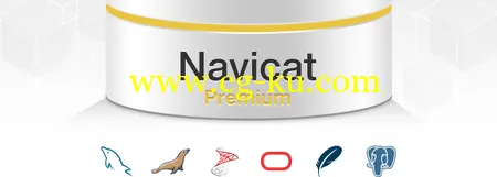 Navicat Premium Enterprise 11.2.12 x86/x64的图片1