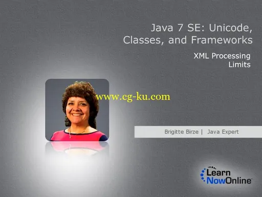 LearnNowOnline – Java 7 SE: Unicode, Classes, and Frameworks的图片2