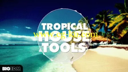 Big EDM Tropical House Tools WAV MiDi Ableton Sylenth1 Spire TUTORiAL的图片1