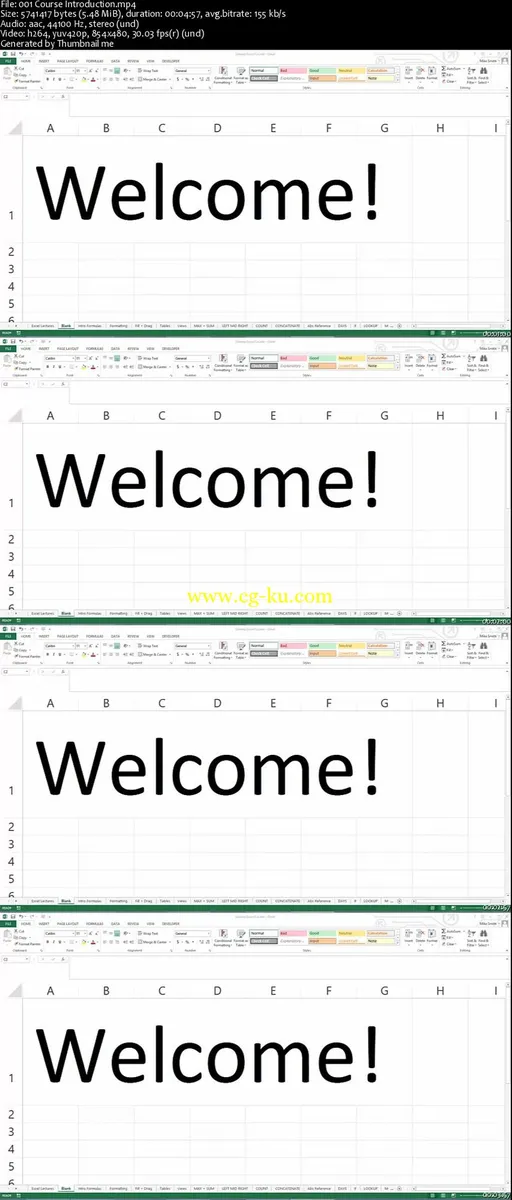 Microsoft Excel 2013 Intro and Intermediate Training的图片2