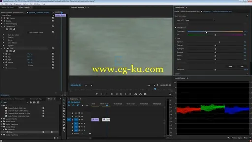 Tutsplus – How to Color Correct Video With Adobe Premiere的图片2