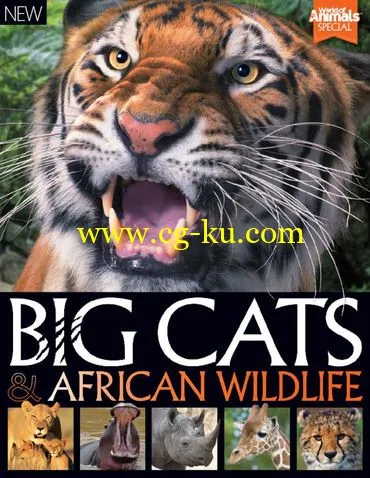 World Of Animals Book Of Big Cats And African Wildlife 2nd Edition-P2P的图片1