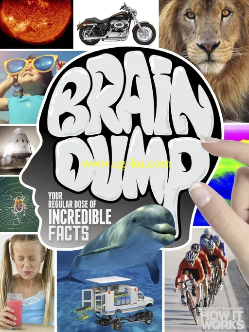 Brain Dump – Issue 035, 2016-P2P的图片1