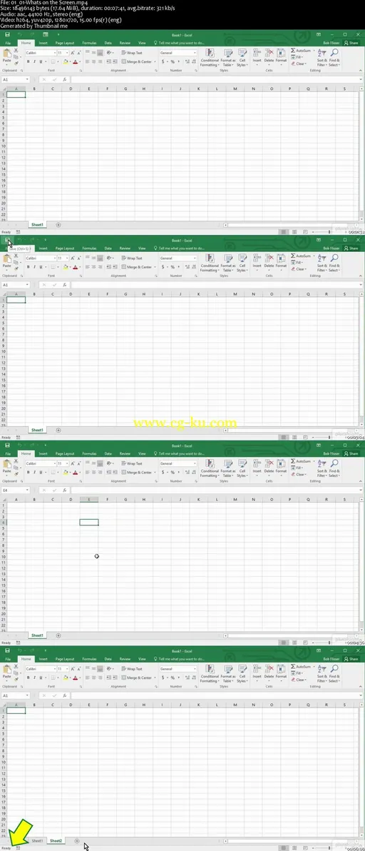 Excel 2016 for Windows and Mac: Essentials的图片2