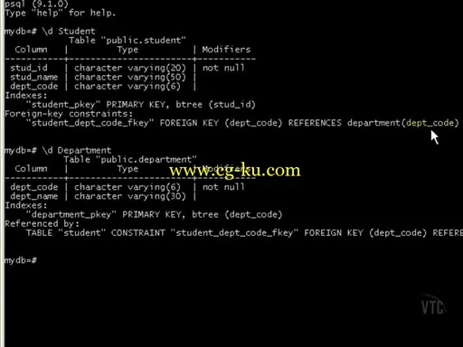 VTC – PostgreSQL Tutorials (2012)的图片2