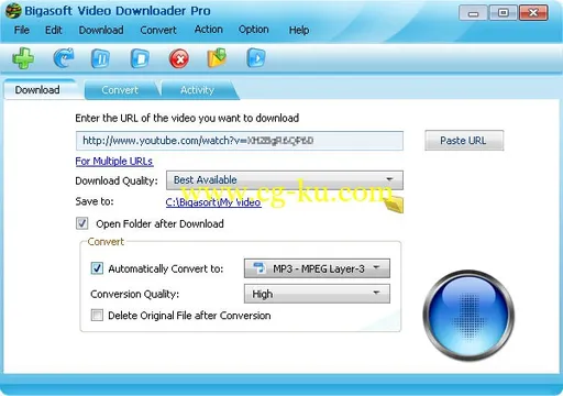 Bigasoft Video Downloader Pro 3.10.5.5799 Multilanguage的图片1