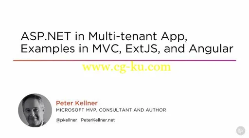 ASP.NET in Multi-tenant App, Examples in MVC, ExtJS, and Angular的图片1