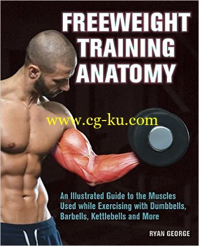 Freeweight Training Anatomy-P2P的图片1