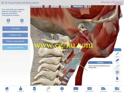 Visible Body Anatomy and Physiology 1.5.04 + Magnitude的图片1