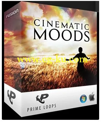 Prime Loops – Cinematic Moods的图片1