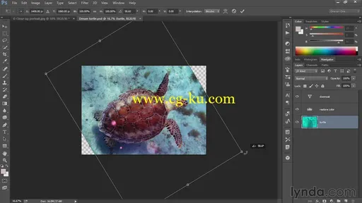 Lynda – Eight Things Everyone Should Know about Photoshop的图片3