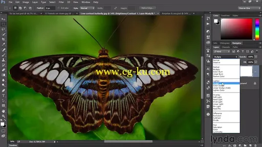 Lynda – Eight Things Everyone Should Know about Photoshop的图片4