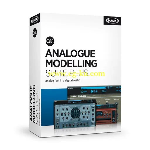 MAGIX Analogue Modelling Suite Plus v2.001 R2的图片1