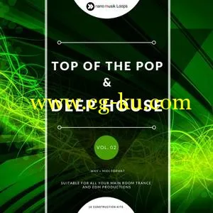 Nano Musik Loops Top of the Pop and Deep House Vol 2 ACiD WAV MiDi的图片1