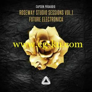 CAPSUN ProAudio – Roseway Studio Sessions Vol 1 – Future Electronica WAV的图片1