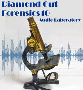 Diamond Cut Forensics10 Audio Laboratory 10.06的图片1