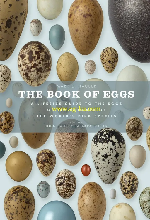 The Book of Eggs-P2P的图片1