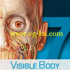 3D Anatomical Model of the Human Body 7.4.01的图片1