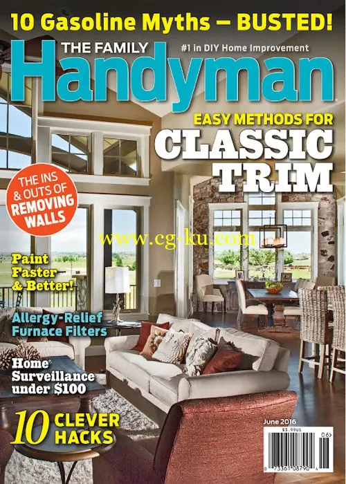 The Family Handyman USA – June 2016-P2P的图片1