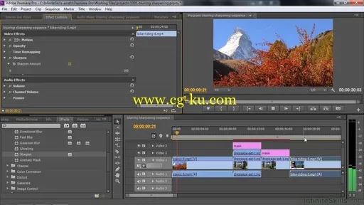 Learning Adobe Premiere Pro CC的图片4