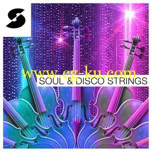 Samplephonics Soul and Disco Strings MULTiFORMAT的图片1