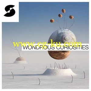 Samplephonics Wondrous Curiosities MULTiFORMAT的图片1