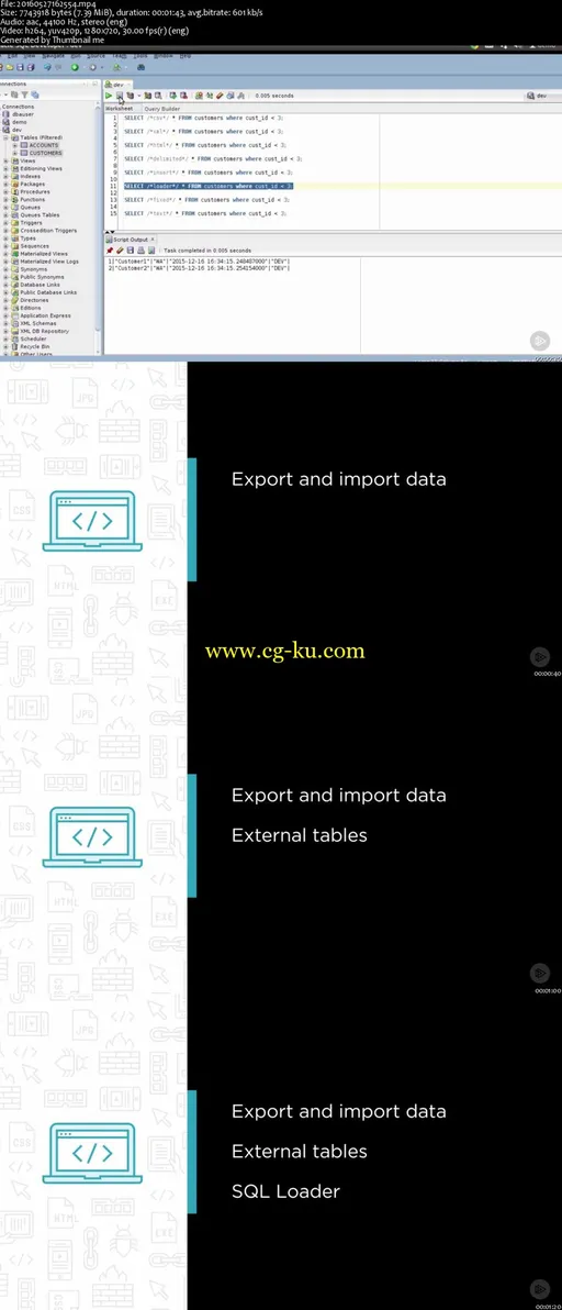 Importing and Exporting Oracle Data for Developers的图片2