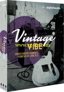 Big Fish Audio Vintage Vibe KONTAKT的图片1