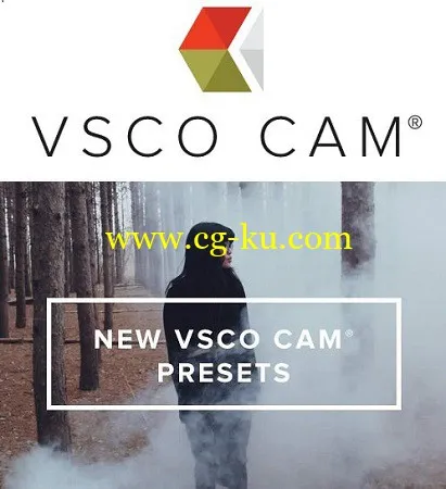 VSCO CAM Presets in LUTs的图片1