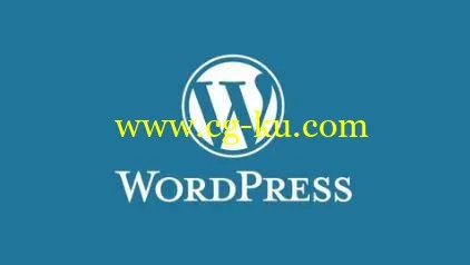 WordPress for Beginners: Create Professional Websites的图片1