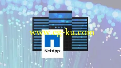 NetApp Storage Clustered Data ONTAP Complete的图片1