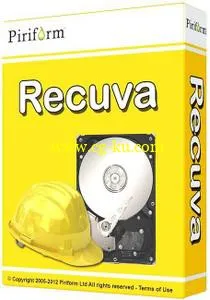 Recuva 1.53.1087 Professional / Business / Technician + Portable的图片1