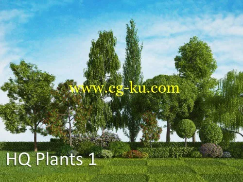 vrayc4d – HQ Plants vol.1 for Cinema4D的图片1