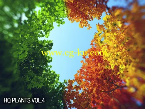 vrayc4d – HQ Plants vol.4 for Cinema4D的图片1