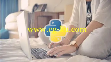 Python for Beginners: Become a Certified Python Developer的图片1