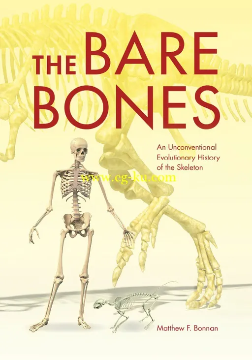 The Bare Bones: An Unconventional Evolutionary History of the Skeleton-P2P的图片1