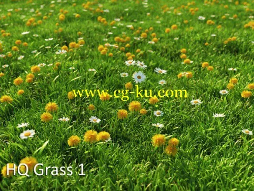 vrayc4d – HQ Grass vol.1 for Cinema4D的图片1