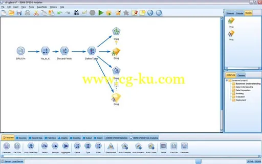 IBM SPSS Modeler 18 Win/Mac的图片1