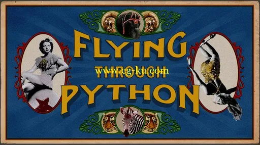 Flying Through Python的图片1