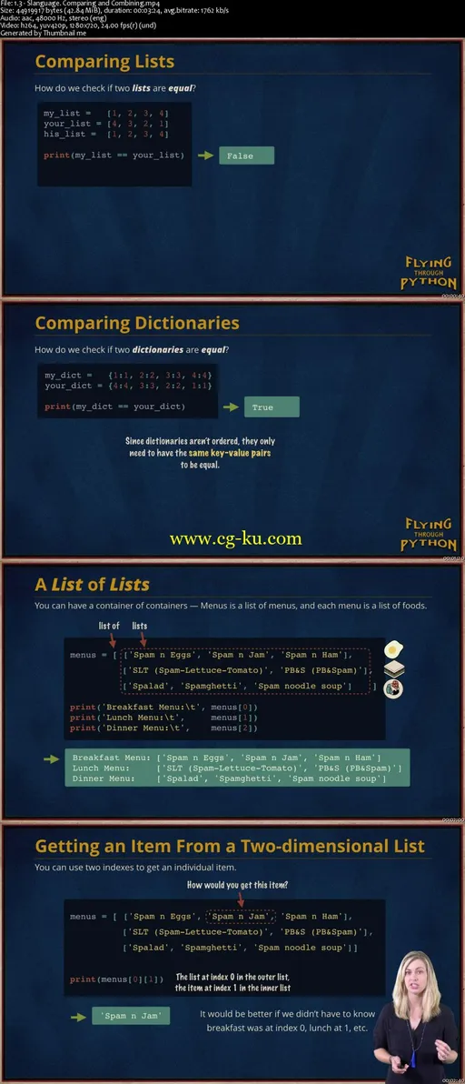 Flying Through Python的图片2