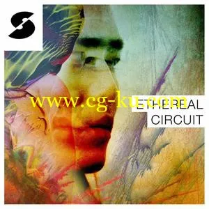 Samplephonics Ethereal Circuit MULTiFORMAT的图片1