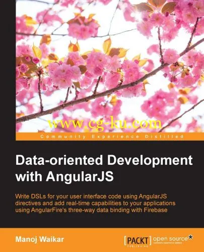 Data-oriented Development with AngularJS-P2P的图片1