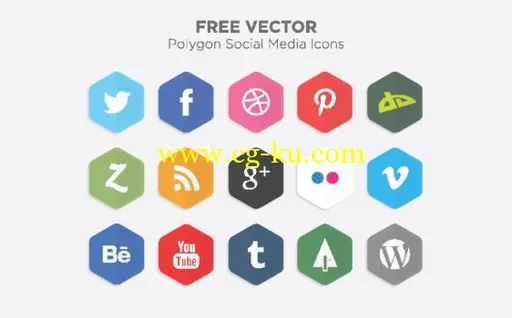 Create your own Set of Social Media Vector Icons with Adobe Illustrator的图片1