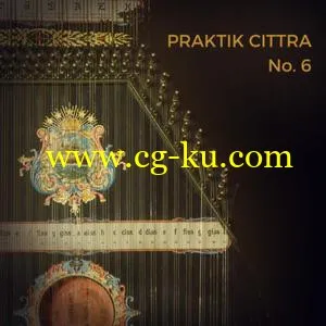 Precisionsound Praktik Cittra No 6 KONTAKT的图片1