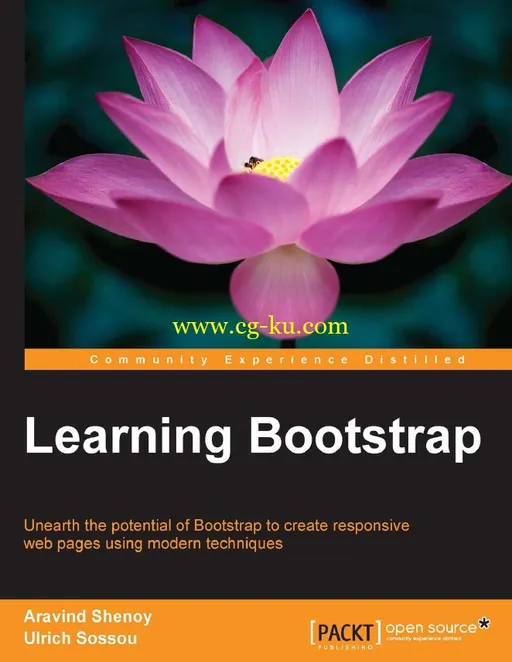 Learning Bootstrap-P2P的图片1