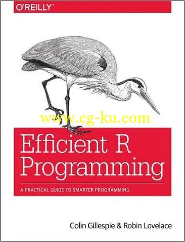 Efficient R Programming-P2P的图片1